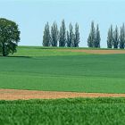 1525_landschaft richterich.jpg
