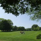 0874_golfplatz_1.jpg
