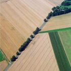 1658_luftbild_18.jpg
