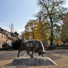 0093_brander-stier.jpg