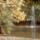 1819_park_09.jpg
