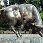 0090_brander-stier.jpg