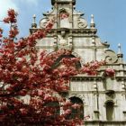 1310_kirchen_20.jpg