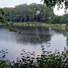 Kupferbach-Stauweiher_02.jpg