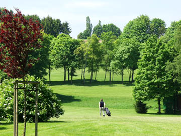 0875_golfplatz_2.jpg