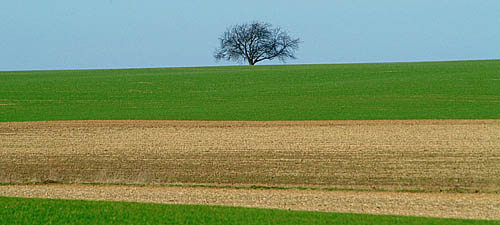 001_landschaft.jpg