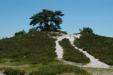 6211_brunssumer-heide.jpg