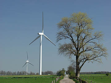 2441_windpark_01.jpg